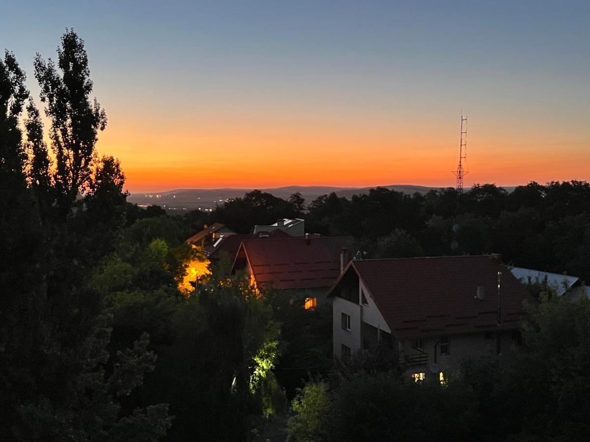 Altheda Living Zamca Lägenhet Suceava Exteriör bild
